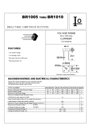 Datasheet BR101 производства Bytes