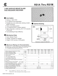 Datasheet RS1M manufacturer Fuji