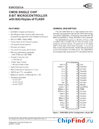 Datasheet IC89C5251A-12PL производства ICSI