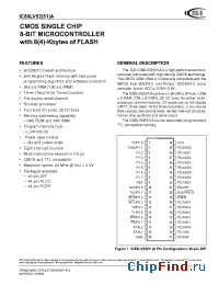 Datasheet IC89LV51A производства ICSI