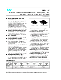Datasheet ARM966E-S производства STMicroelectronics