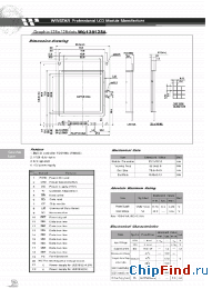 Datasheet PM61300-5 производства Winstar