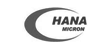 Hanamicron